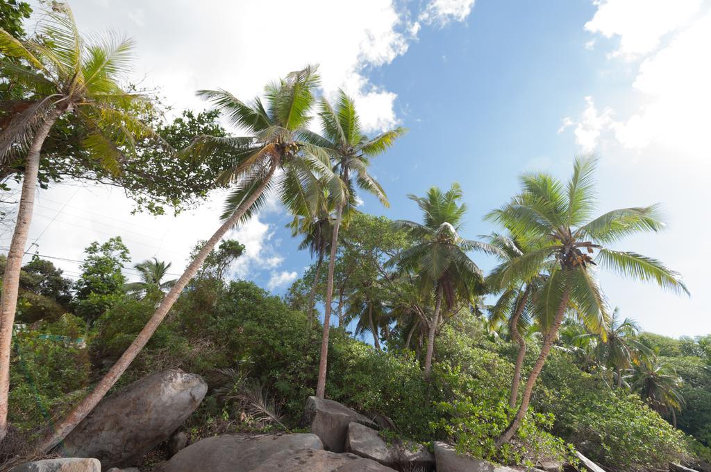 Villa Bel Age Anse Royale Luaran gambar